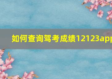 如何查询驾考成绩12123app