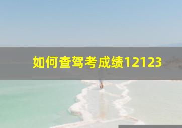 如何查驾考成绩12123