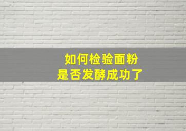 如何检验面粉是否发酵成功了