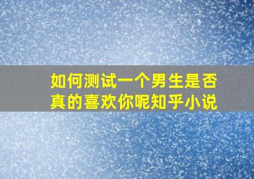 如何测试一个男生是否真的喜欢你呢知乎小说