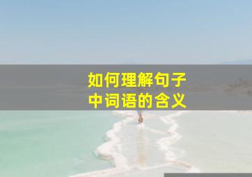 如何理解句子中词语的含义