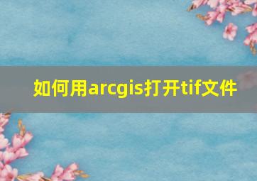 如何用arcgis打开tif文件