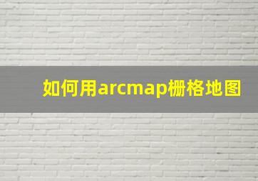 如何用arcmap栅格地图