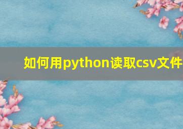 如何用python读取csv文件