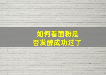 如何看面粉是否发酵成功过了