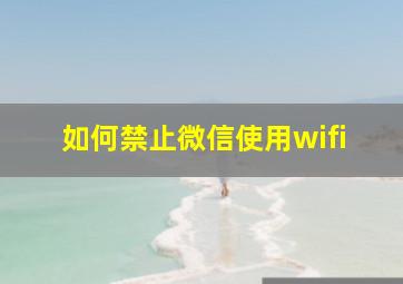 如何禁止微信使用wifi