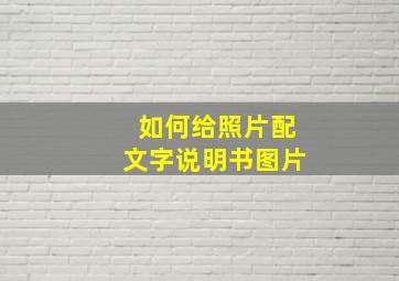 如何给照片配文字说明书图片