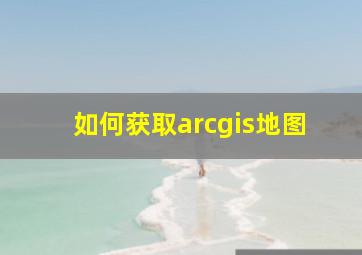 如何获取arcgis地图