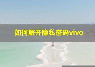 如何解开隐私密码vivo