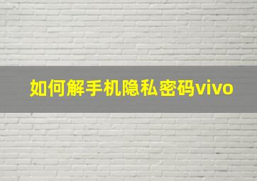 如何解手机隐私密码vivo