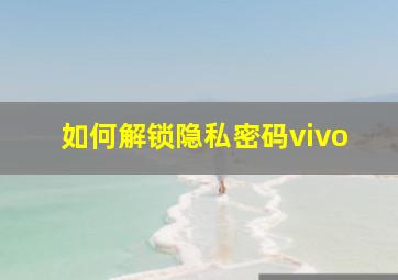 如何解锁隐私密码vivo