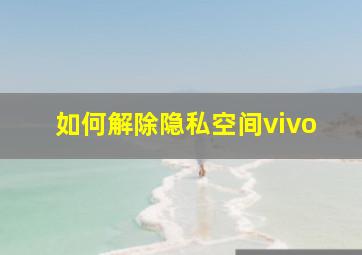 如何解除隐私空间vivo