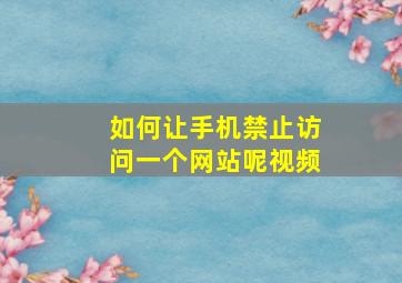 如何让手机禁止访问一个网站呢视频