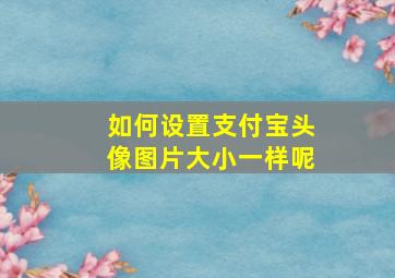 如何设置支付宝头像图片大小一样呢