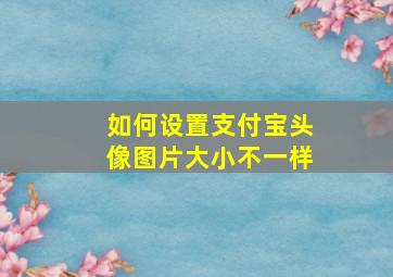 如何设置支付宝头像图片大小不一样