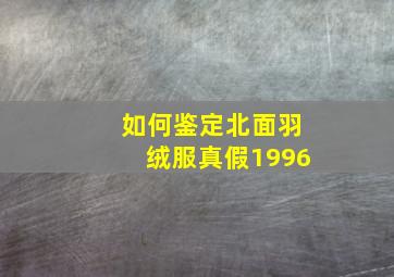 如何鉴定北面羽绒服真假1996