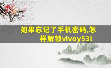 如果忘记了手机密码,怎样解锁vivoy53l