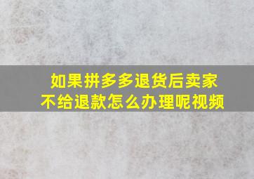 如果拼多多退货后卖家不给退款怎么办理呢视频