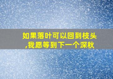 如果落叶可以回到枝头,我愿等到下一个深秋