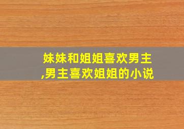 妹妹和姐姐喜欢男主,男主喜欢姐姐的小说