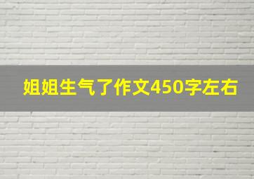 姐姐生气了作文450字左右