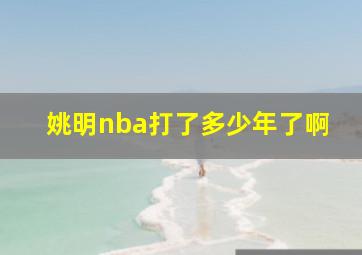 姚明nba打了多少年了啊