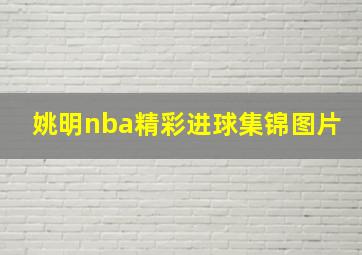 姚明nba精彩进球集锦图片