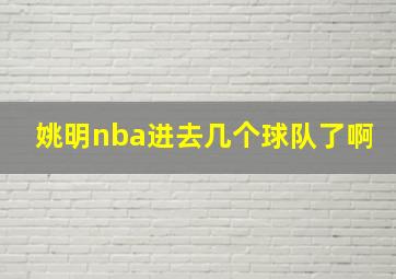 姚明nba进去几个球队了啊