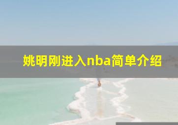 姚明刚进入nba简单介绍