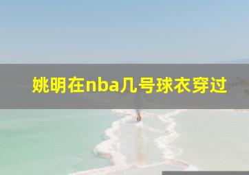 姚明在nba几号球衣穿过