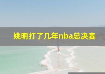 姚明打了几年nba总决赛