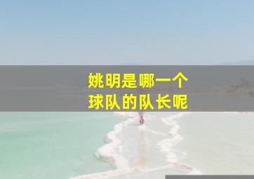 姚明是哪一个球队的队长呢