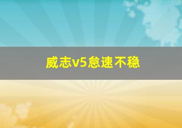 威志v5怠速不稳