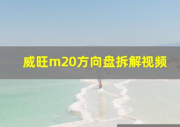 威旺m20方向盘拆解视频