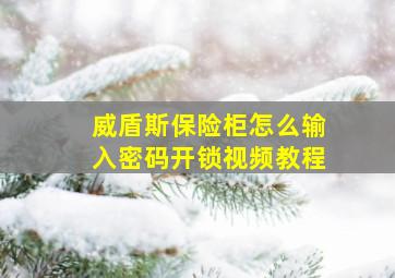 威盾斯保险柜怎么输入密码开锁视频教程