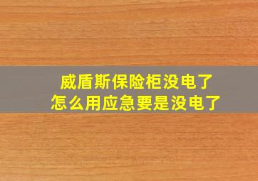 威盾斯保险柜没电了怎么用应急要是没电了