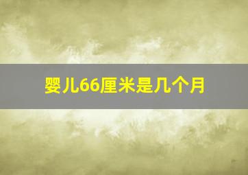 婴儿66厘米是几个月