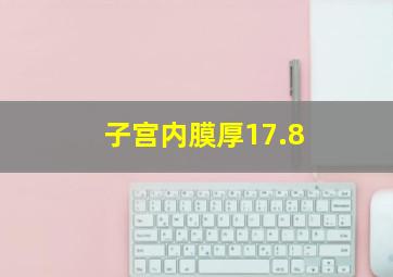 子宫内膜厚17.8