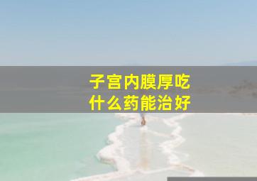 子宫内膜厚吃什么药能治好