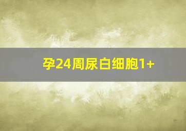 孕24周尿白细胞1+