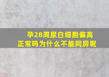 孕28周尿白细胞偏高正常吗为什么不能同房呢