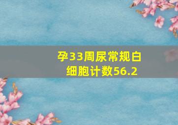 孕33周尿常规白细胞计数56.2