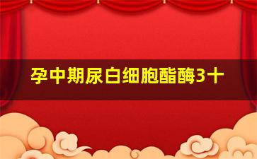 孕中期尿白细胞酯酶3十