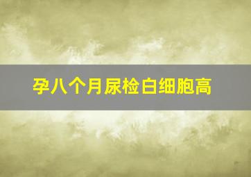 孕八个月尿检白细胞高