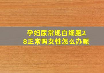 孕妇尿常规白细胞28正常吗女性怎么办呢