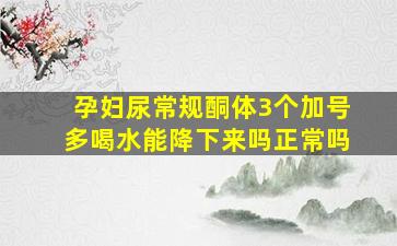 孕妇尿常规酮体3个加号多喝水能降下来吗正常吗