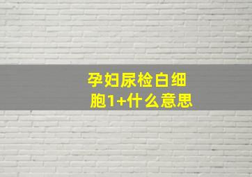 孕妇尿检白细胞1+什么意思