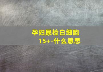 孕妇尿检白细胞15+-什么意思