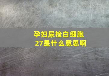 孕妇尿检白细胞27是什么意思啊