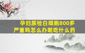 孕妇尿检白细胞800多严重吗怎么办呢吃什么药